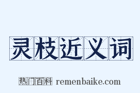 灵枝近义词是什么意思的图片